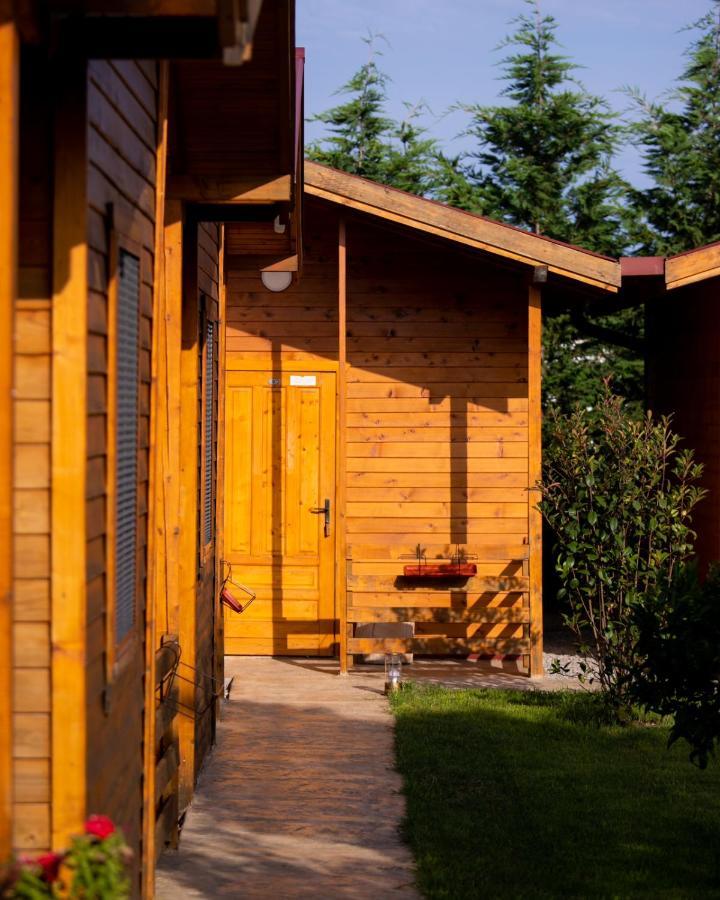 Отель Sunny Garden Улцинь Экстерьер фото